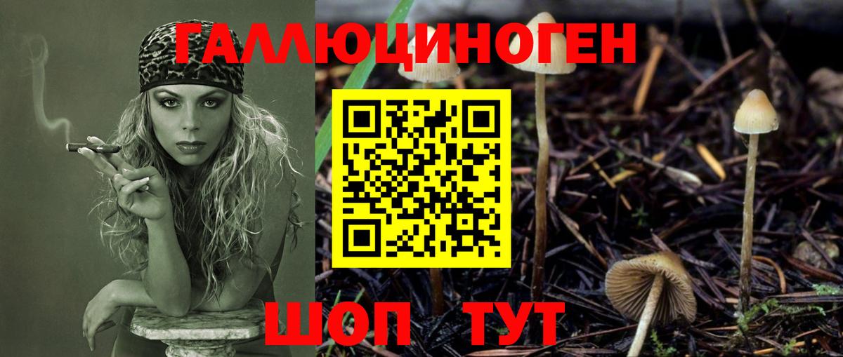 Псилоцибиновые грибы MAGIC MUSHROOMS  Галлюциногенные грибы Psilocybe  Вход с VPN  Ленинск-Кузнецкий 
